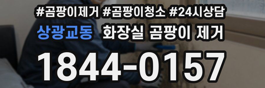 상광교동 화장실 곰팡이 제거
