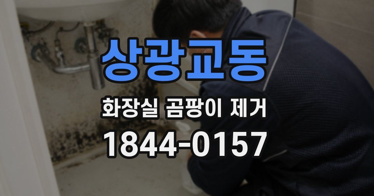 상광교동 화장실 곰팡이 제거