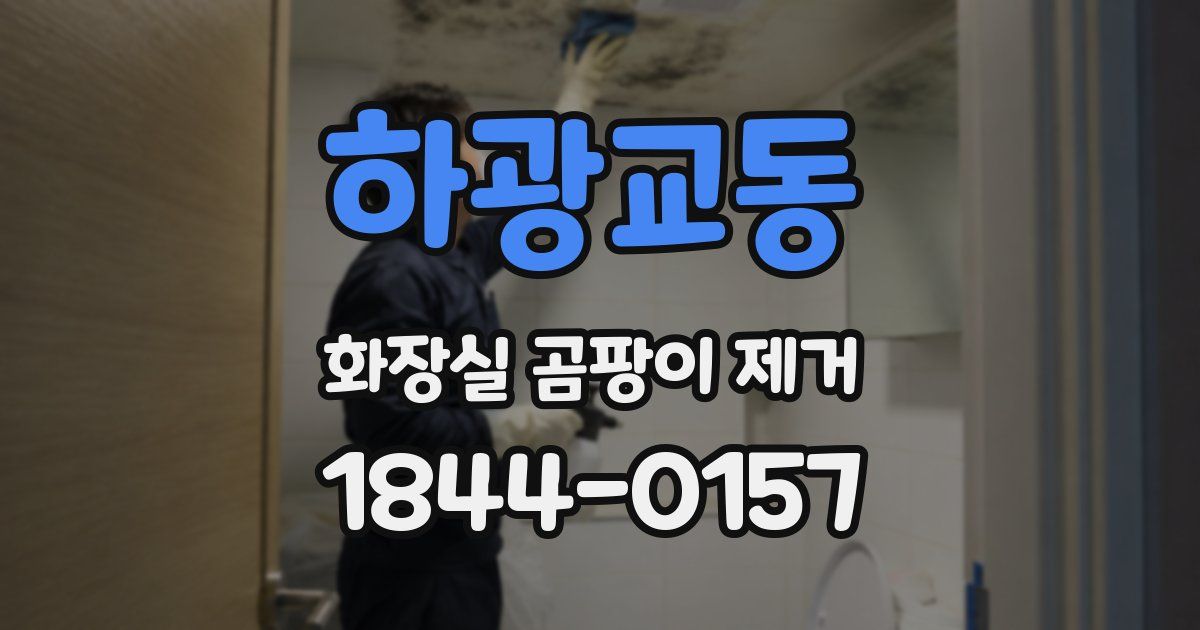 하광교동 화장실 곰팡이 제거