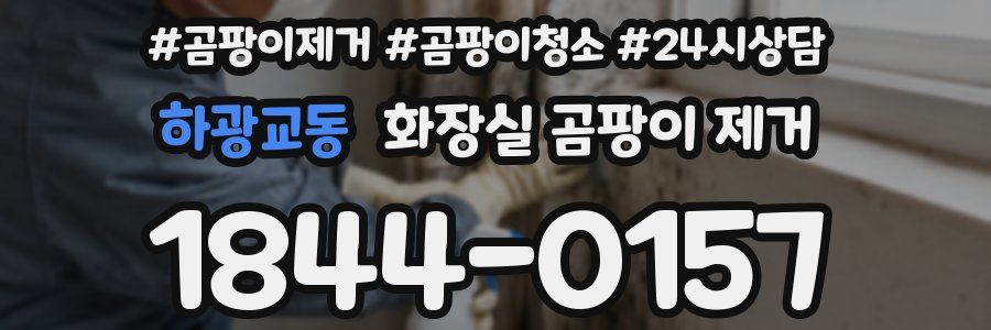 하광교동 화장실 곰팡이 제거