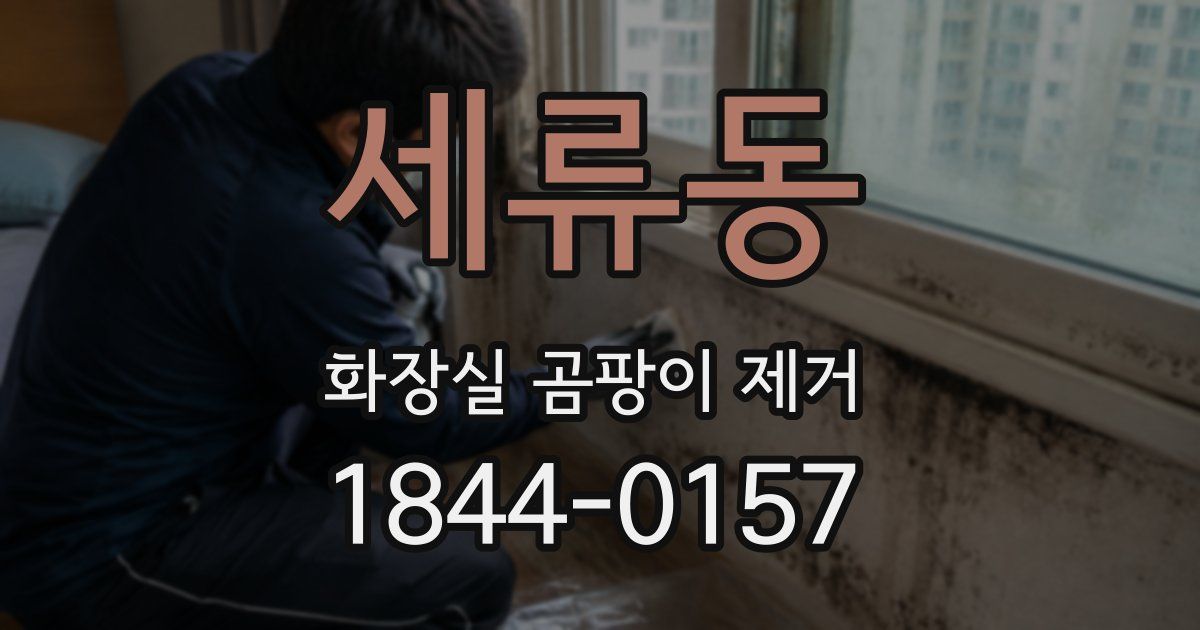 세류동 화장실 곰팡이 제거