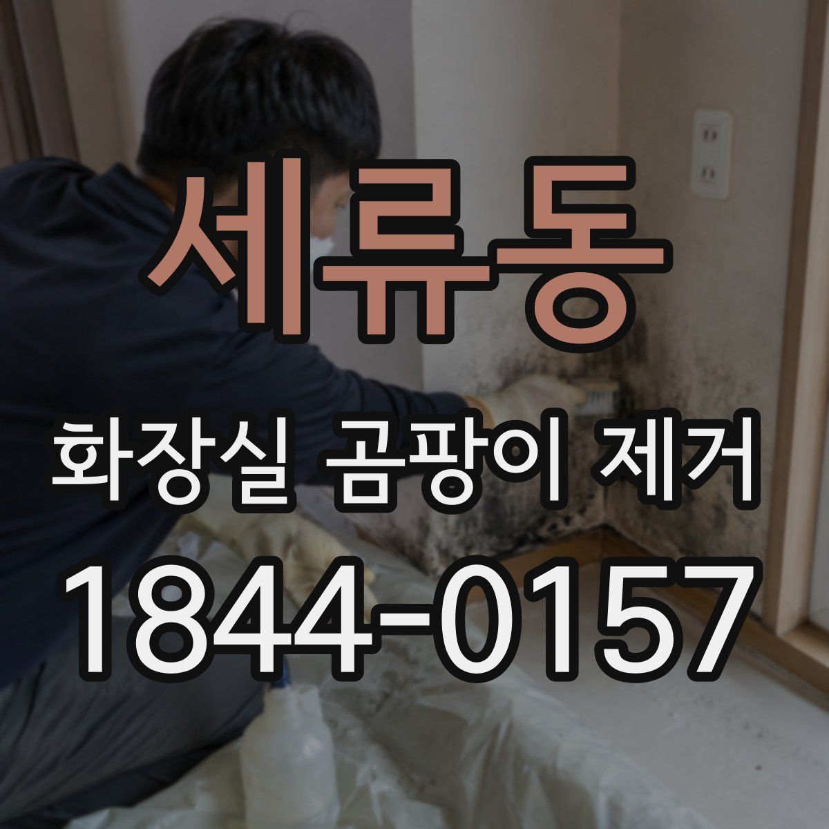 세류동 화장실 곰팡이 제거