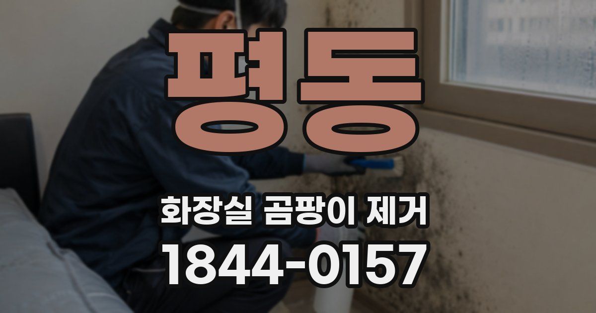 평동 화장실 곰팡이 제거