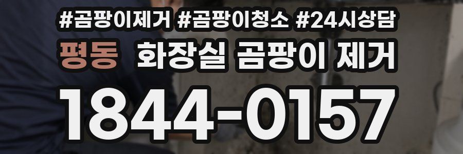 평동 화장실 곰팡이 제거