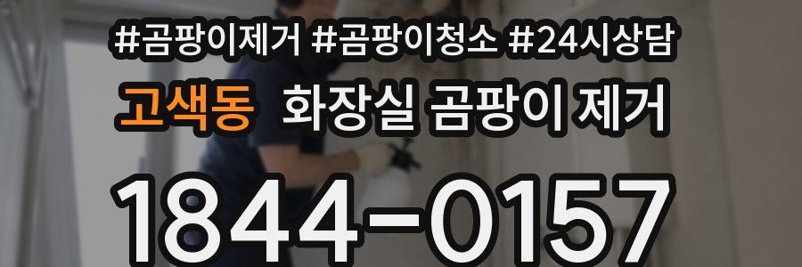 고색동 화장실 곰팡이 제거