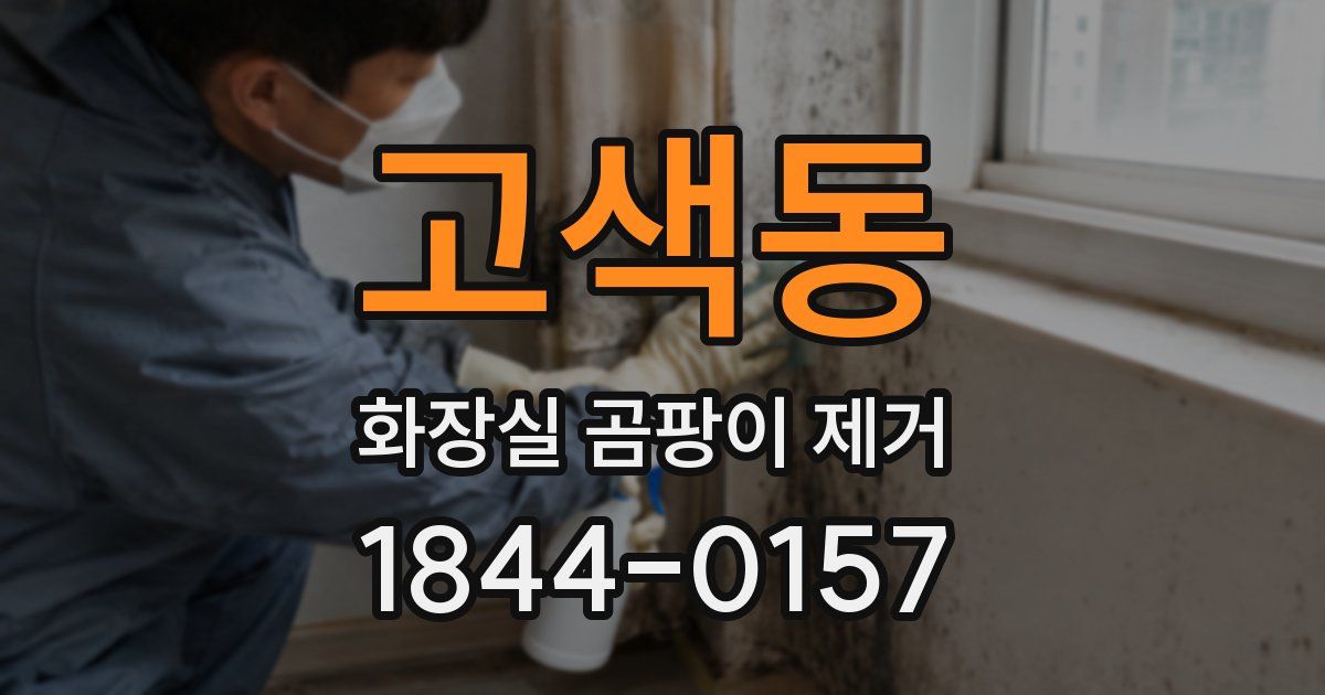 고색동 화장실 곰팡이 제거
