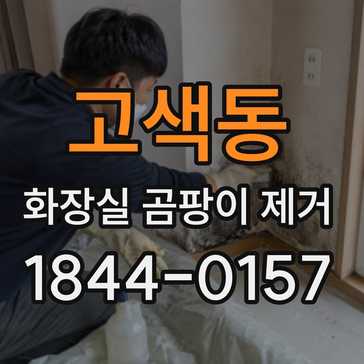 고색동 화장실 곰팡이 제거