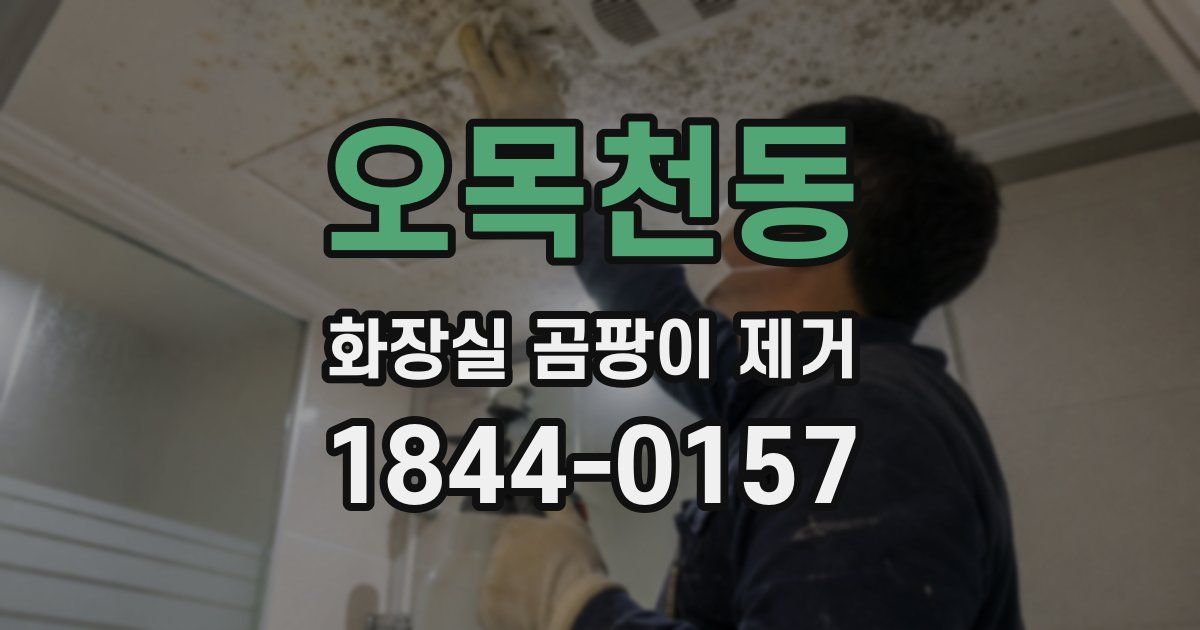 오목천동 화장실 곰팡이 제거