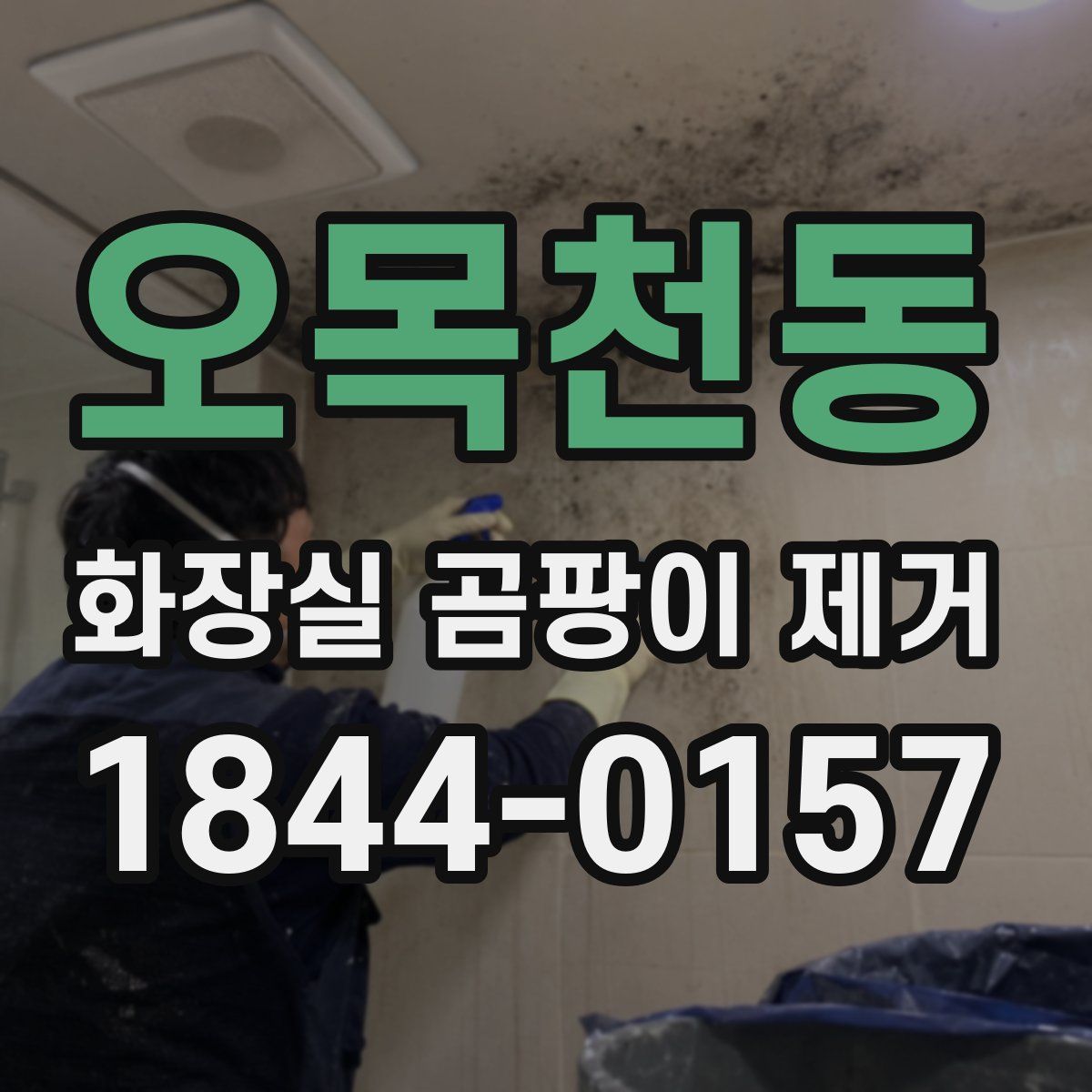 오목천동 화장실 곰팡이 제거