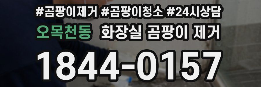 오목천동 화장실 곰팡이 제거