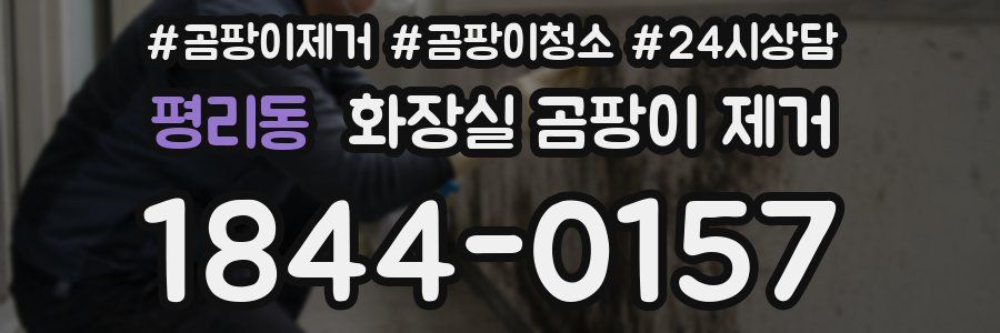 평리동 화장실 곰팡이 제거