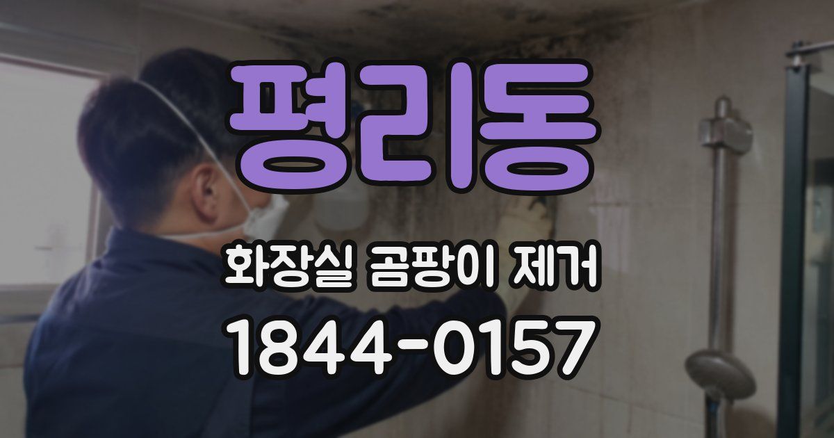 평리동 화장실 곰팡이 제거