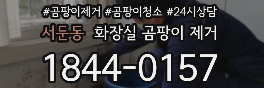 서둔동 화장실 곰팡이 제거