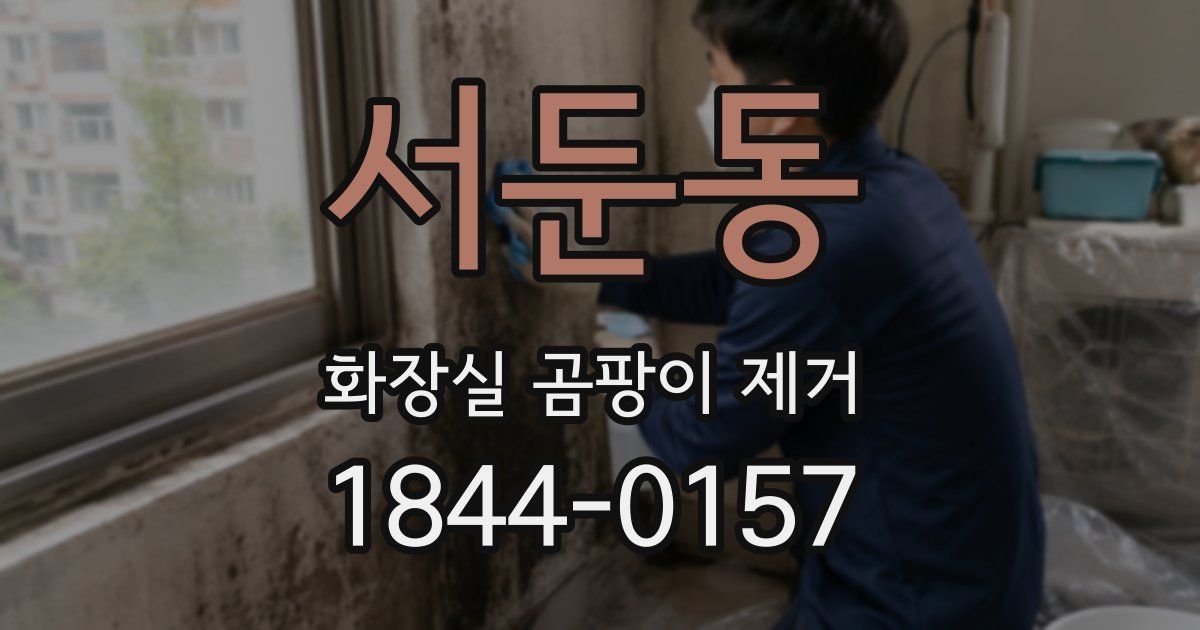 서둔동 화장실 곰팡이 제거