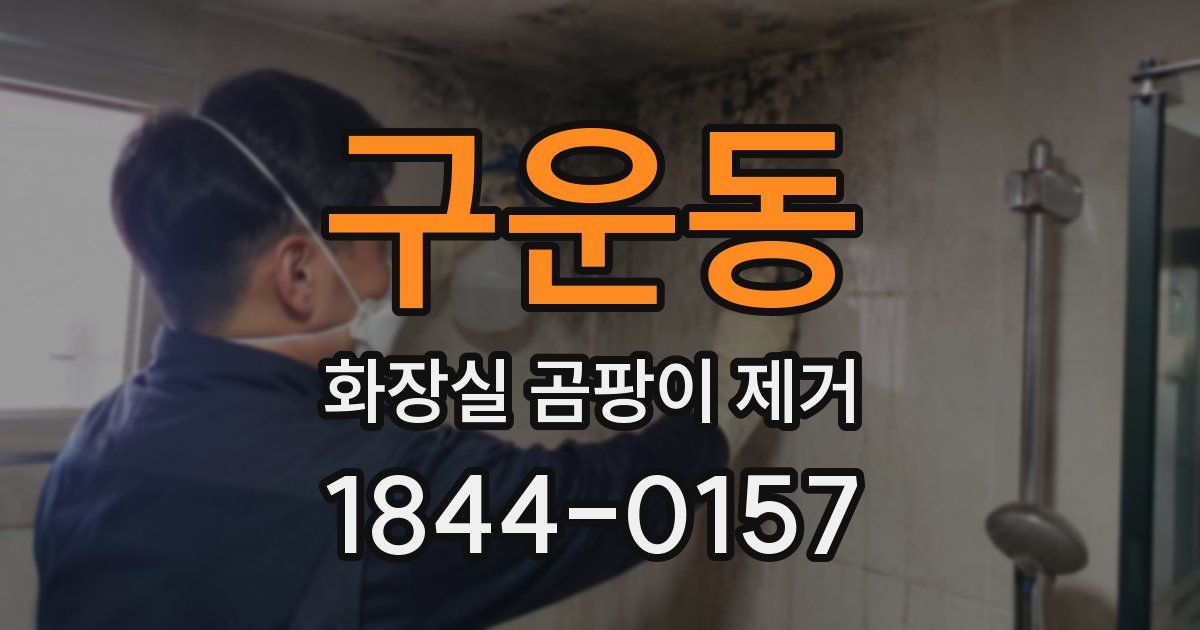 구운동 화장실 곰팡이 제거