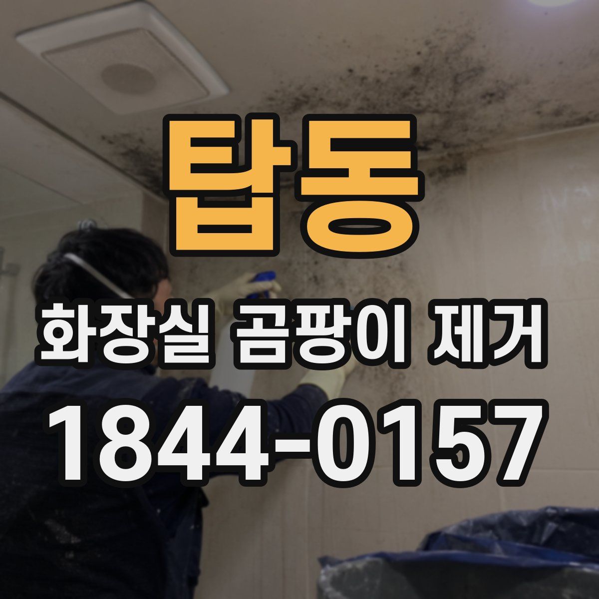탑동 화장실 곰팡이 제거