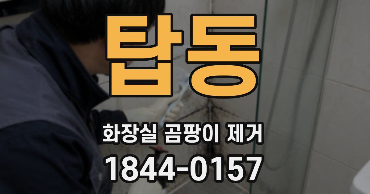 탑동 화장실 곰팡이 제거