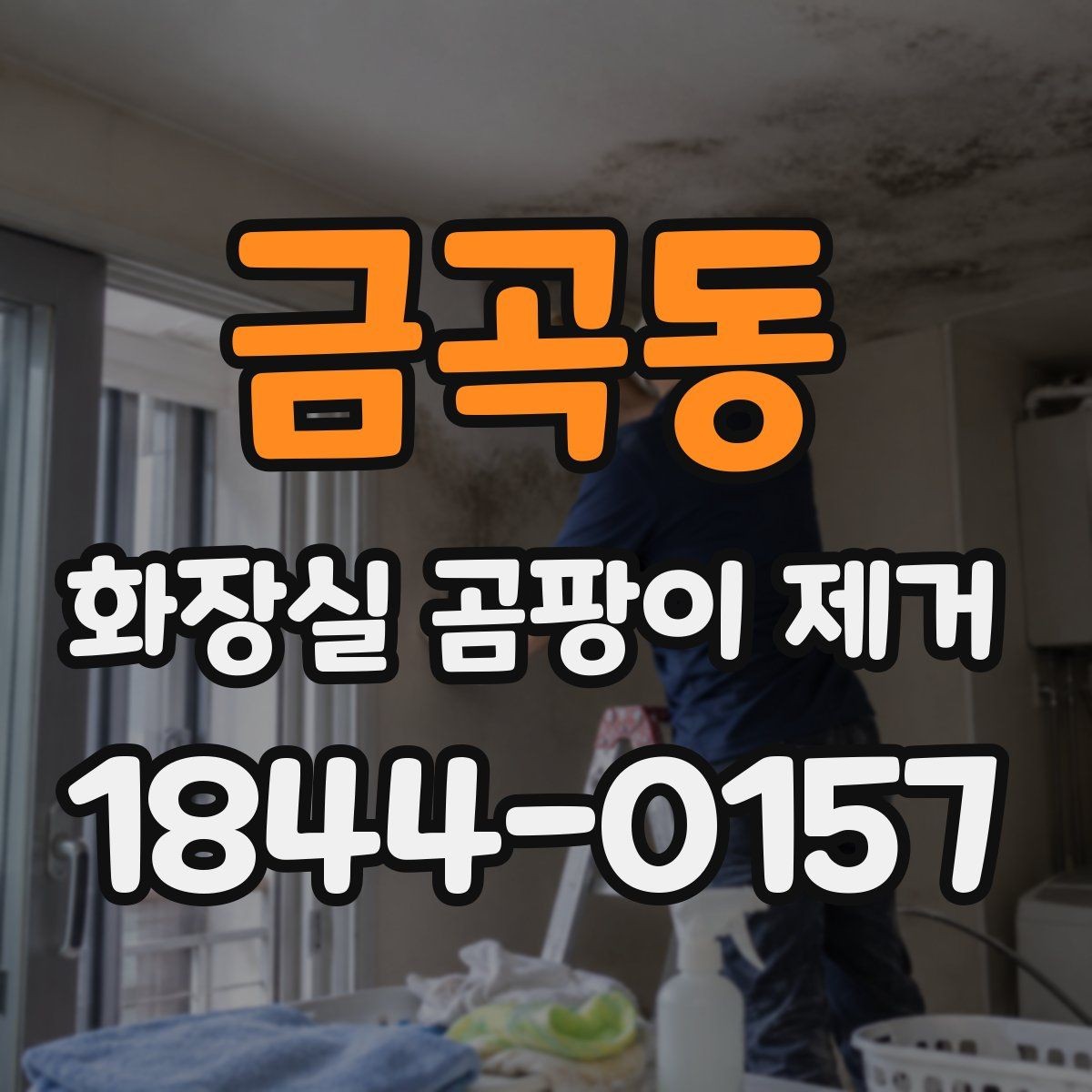 금곡동 화장실 곰팡이 제거 임대 종료 전 관리에서 놓치기 쉬운 부분