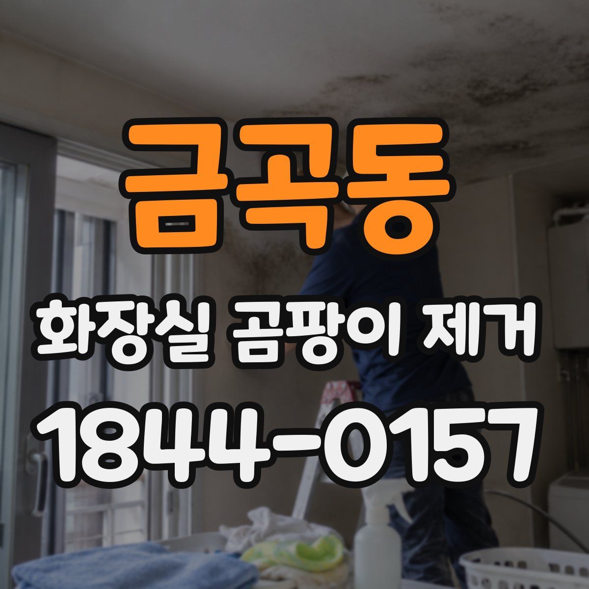 금곡동 화장실 곰팡이 제거