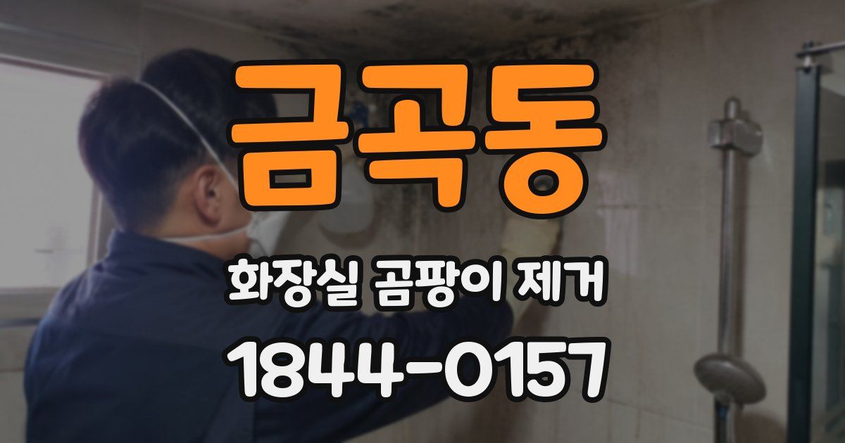 금곡동 화장실 곰팡이 제거