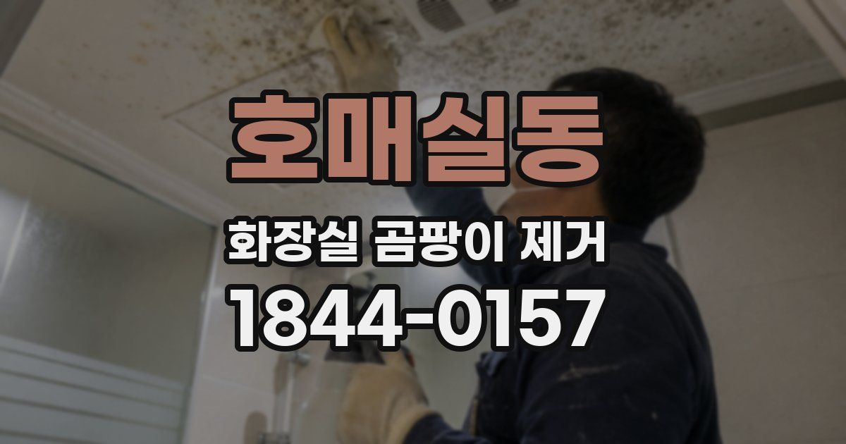 호매실동 화장실 곰팡이 제거