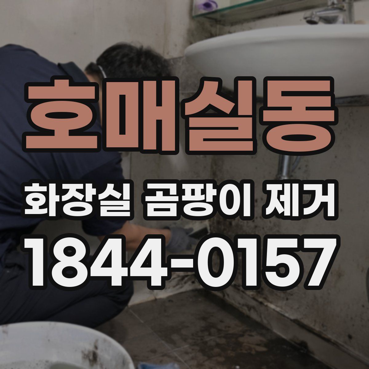 호매실동 화장실 곰팡이 제거