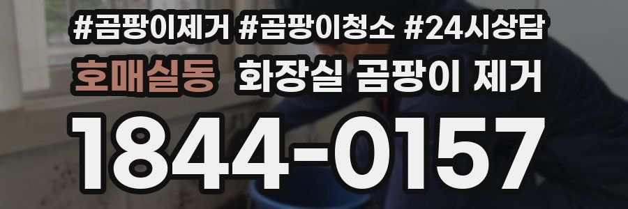 호매실동 화장실 곰팡이 제거
