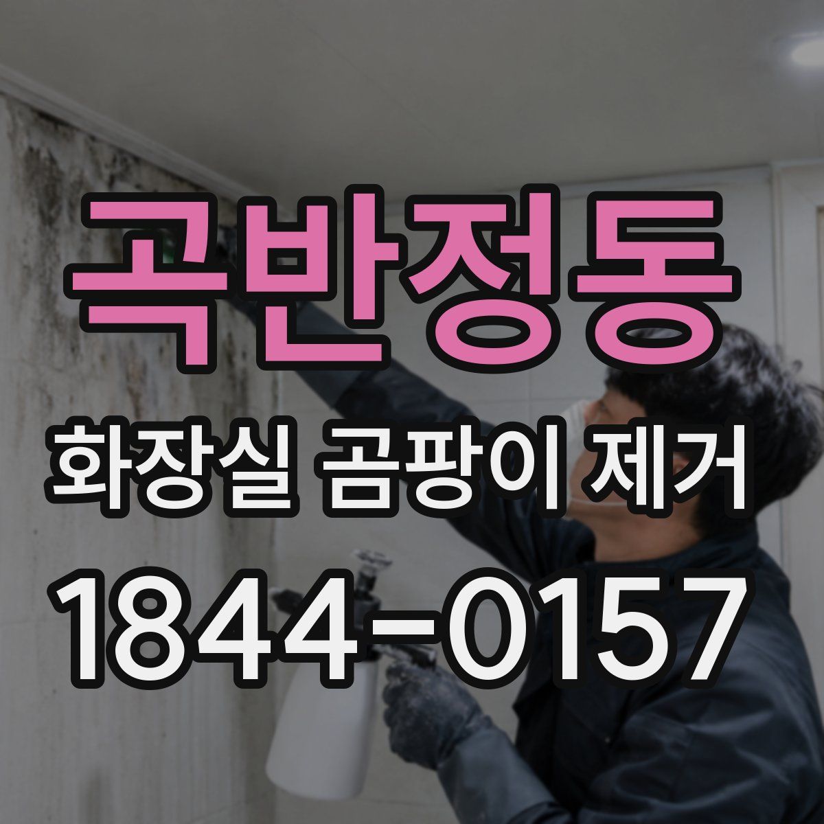 곡반정동 화장실 곰팡이 제거