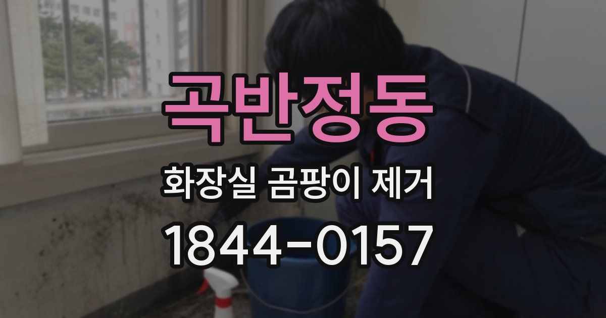 곡반정동 화장실 곰팡이 제거