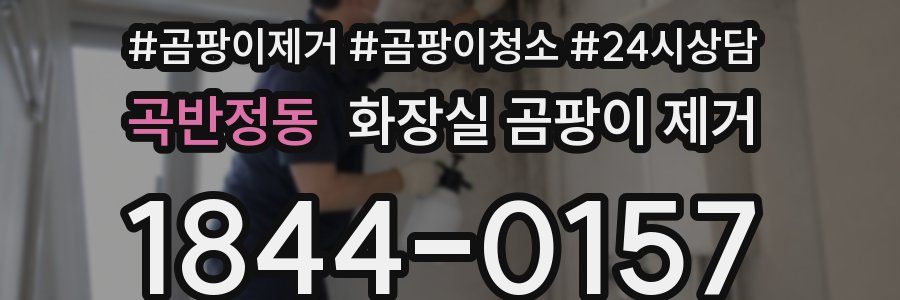 곡반정동 화장실 곰팡이 제거