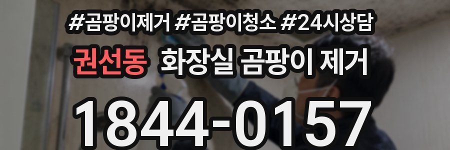 권선동 화장실 곰팡이 제거