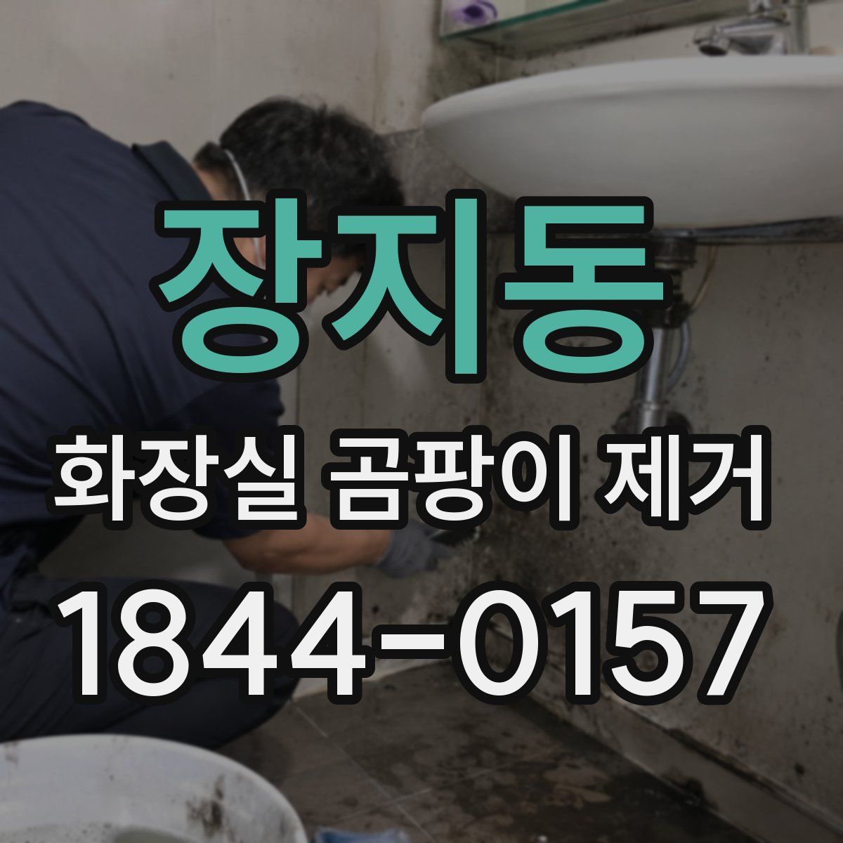 장지동 화장실 곰팡이 제거