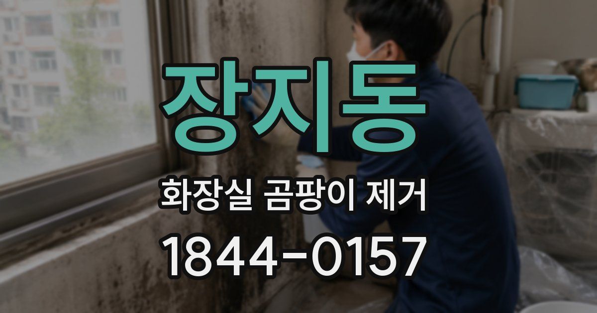 장지동 화장실 곰팡이 제거