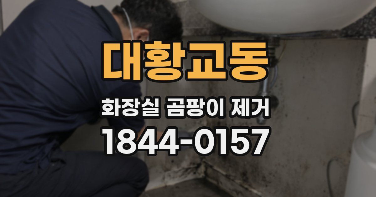 대황교동 화장실 곰팡이 제거