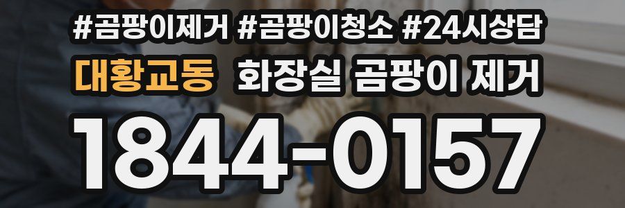 대황교동 화장실 곰팡이 제거