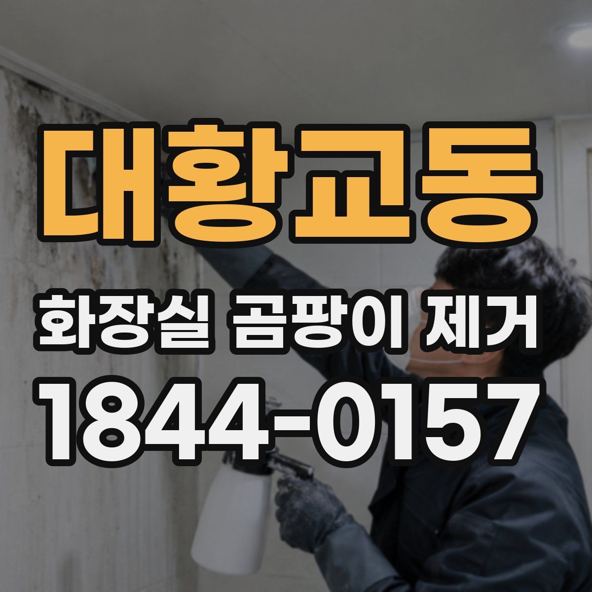 대황교동 화장실 곰팡이 제거