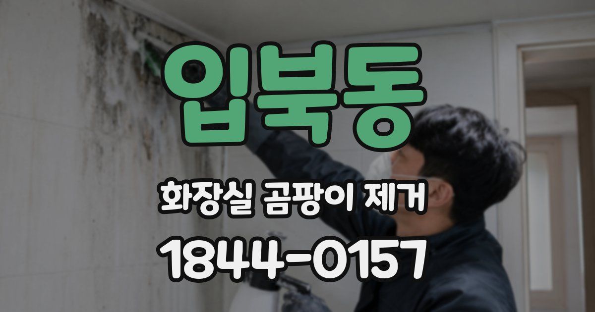 입북동 화장실 곰팡이 제거