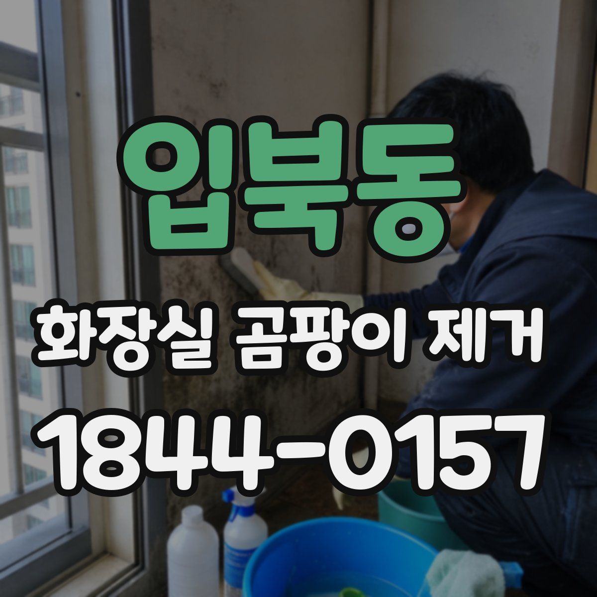입북동 화장실 곰팡이 제거