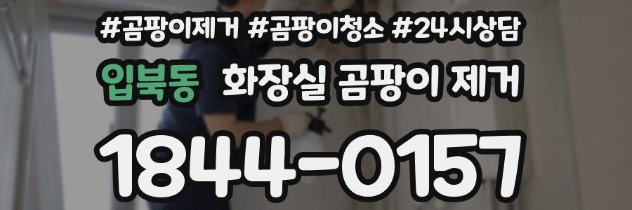입북동 화장실 곰팡이 제거