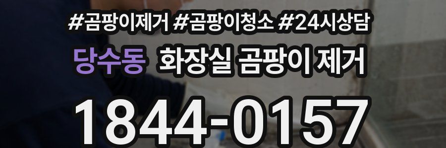당수동 화장실 곰팡이 제거