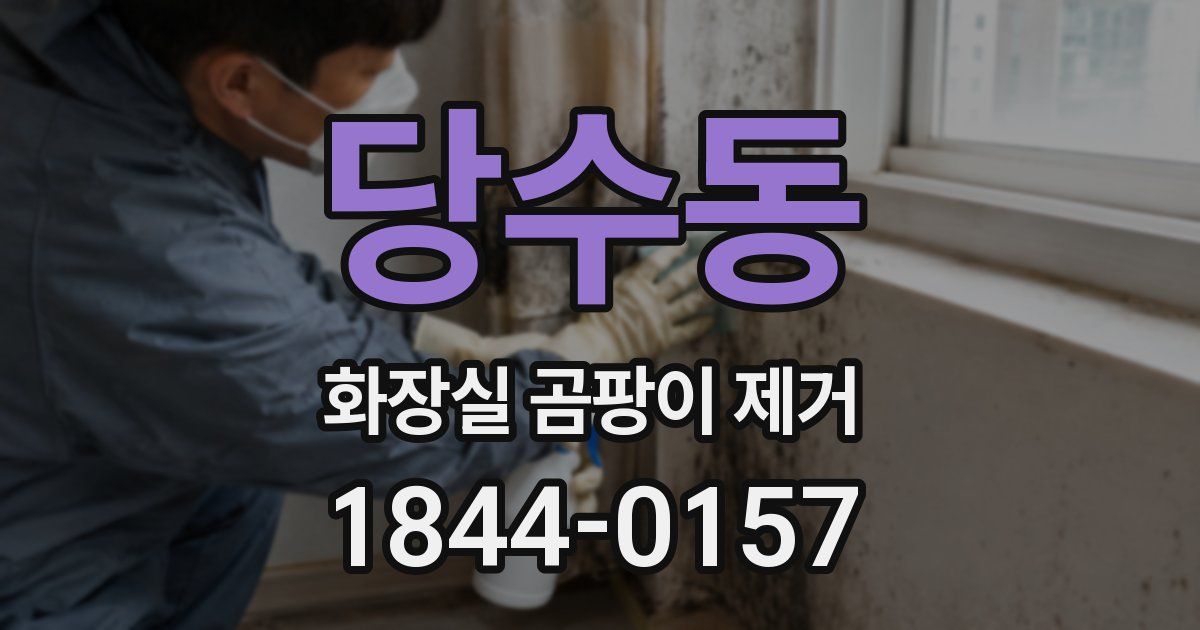 당수동 화장실 곰팡이 제거