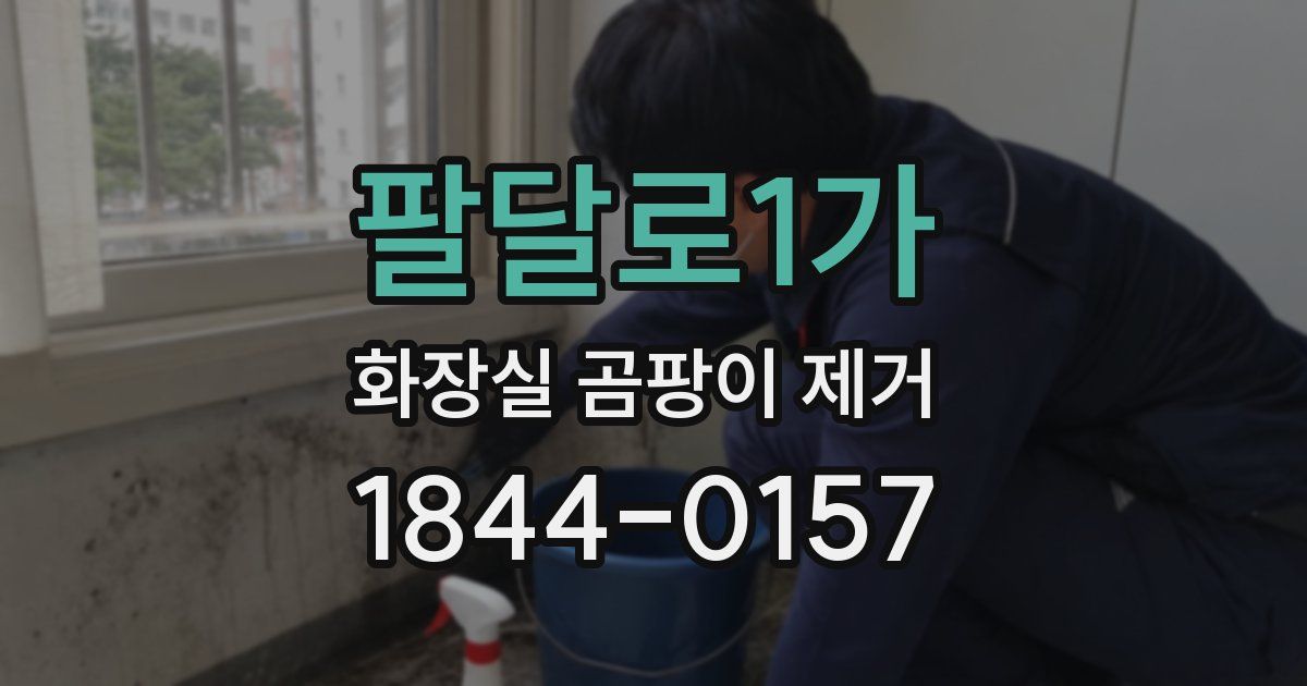 팔달로1가 화장실 곰팡이 제거