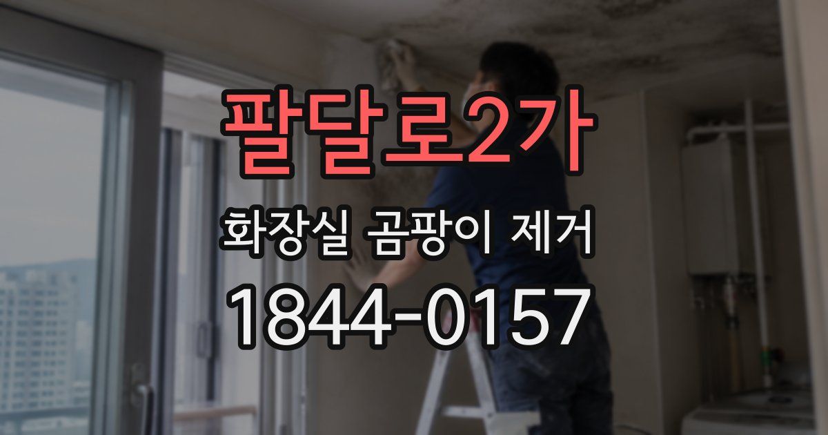 팔달로2가 화장실 곰팡이 제거