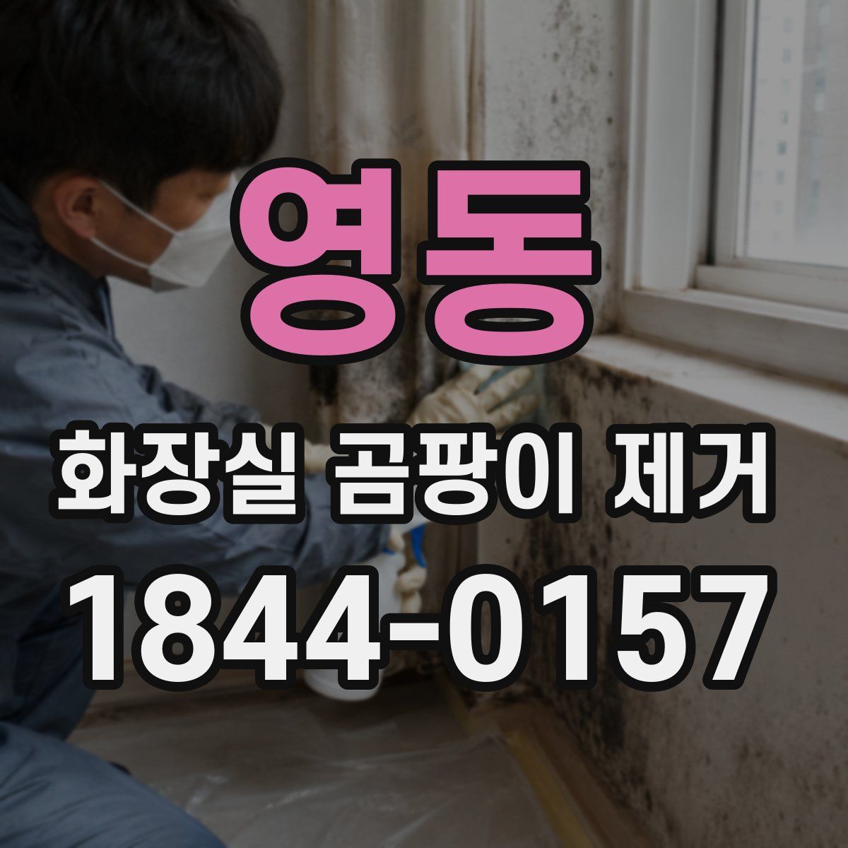 영동 화장실 곰팡이 제거