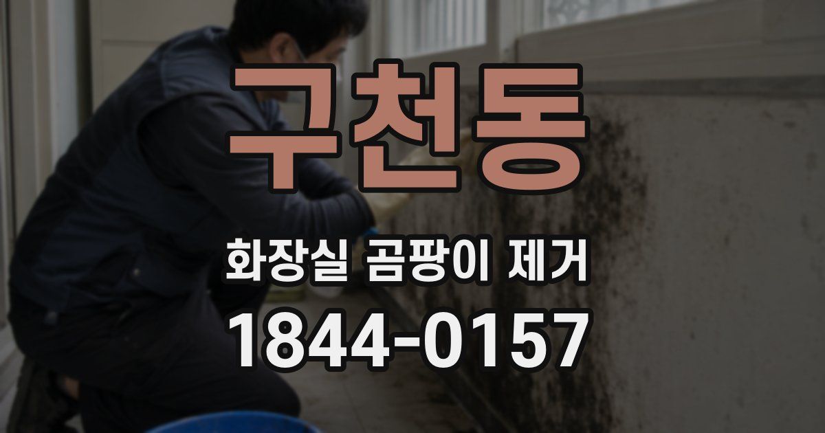 구천동 화장실 곰팡이 제거
