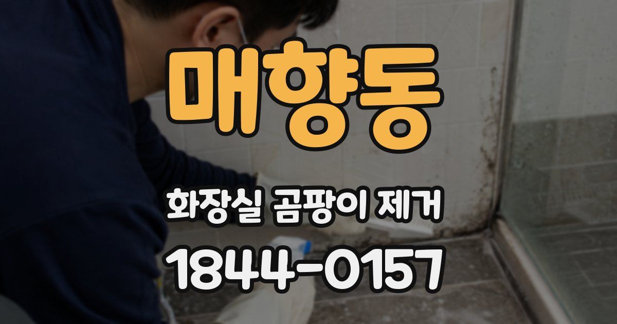 매향동 화장실 곰팡이 제거