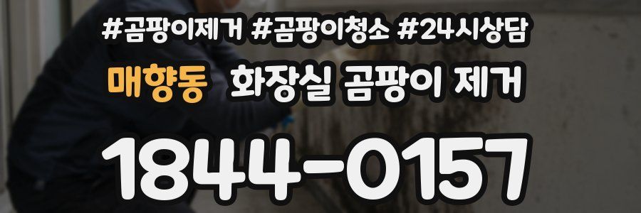 매향동 화장실 곰팡이 제거