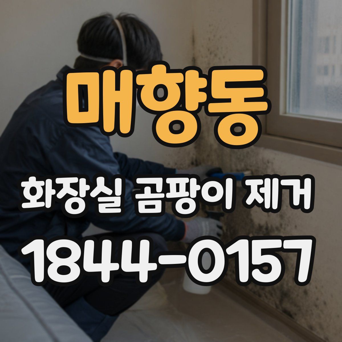 매향동 화장실 곰팡이 제거