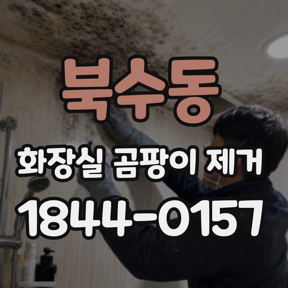 북수동 화장실 곰팡이 제거