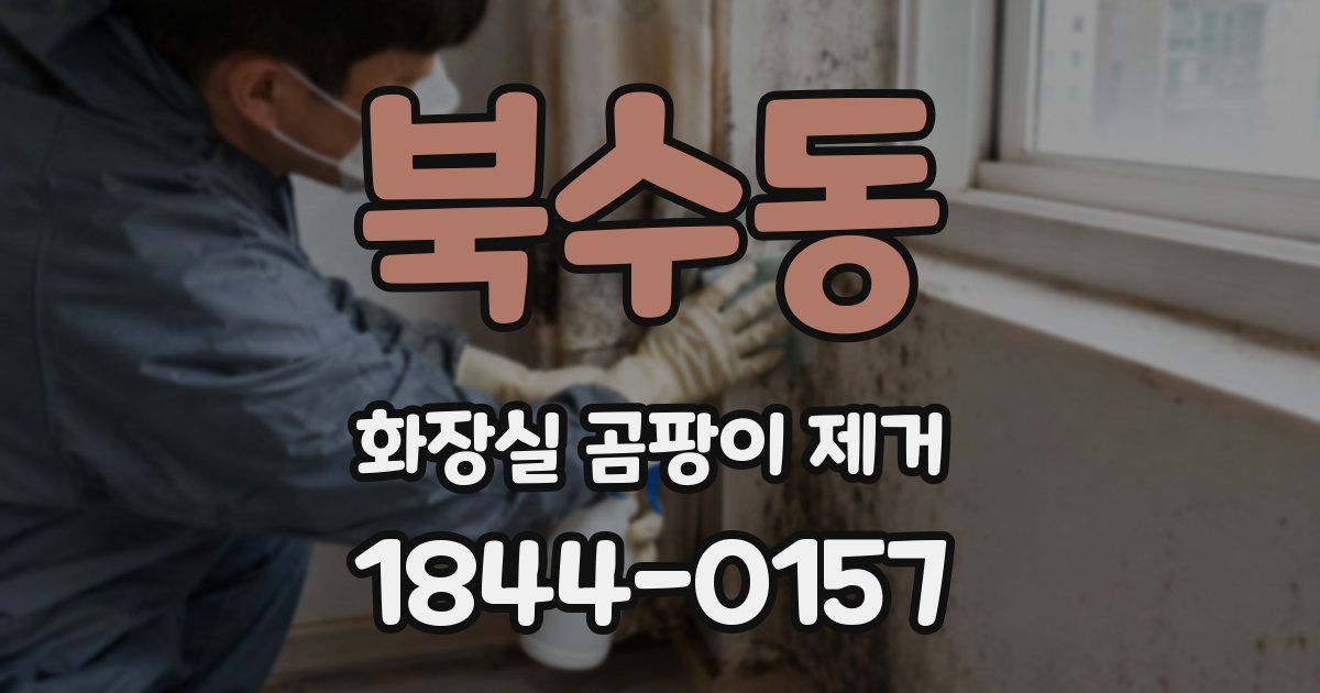북수동 화장실 곰팡이 제거